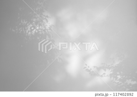 白壁に映る枝葉の影　明るめ　モノクロ 117402892