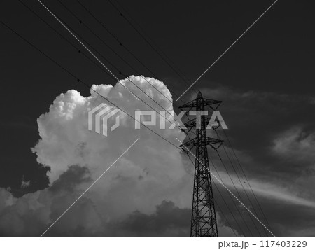 入道雲と鉄塔　モノクロ 117403229