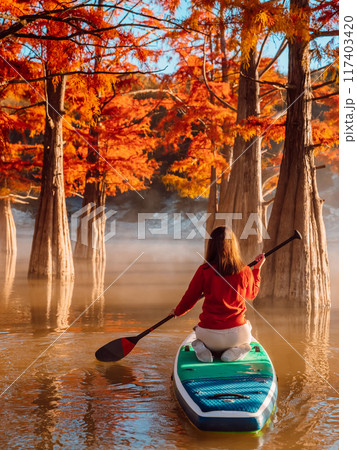 Woman on stand up paddle board on river with autumnal trees Woman on stand up paddle board on river with autumnal trees 117403420