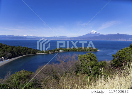 大瀬崎海岸と富士山の眺望 117403682