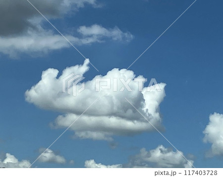 青空に浮かぶ雲 117403728