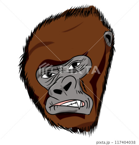 The Kong or gorilla animal concept png image. 117404038