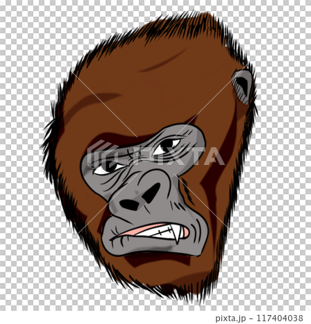 The Kong or gorilla animal concept png image. The Kong or gorilla animal concept png image. 117404038