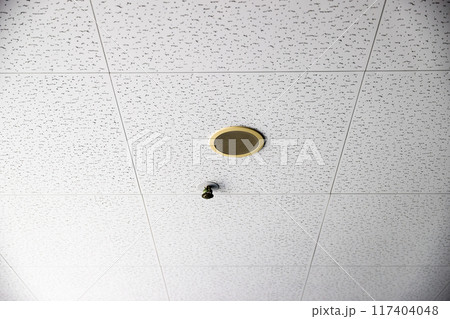 スプリンクラーヘッドと天井スピーカ 117404048