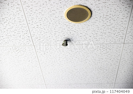 スプリンクラーヘッドと天井スピーカ 117404049