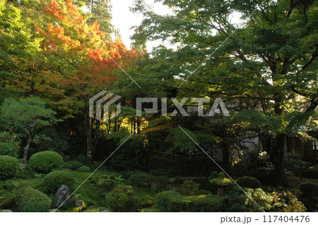 Autumn Kyoto, Japan / 紅葉に包まれたお寺，色づき始めた初秋の古都 京都の寺院 117404476