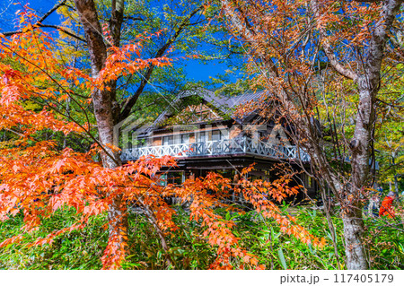【秋素材】錦秋の上高地・トレッキング風景【長野県】 【秋素材】錦秋の上高地・トレッキング風景【長野県】 117405179