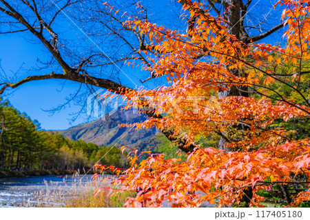 【秋素材】錦秋の上高地・トレッキング風景【長野県】 【秋素材】錦秋の上高地・トレッキング風景【長野県】 117405180