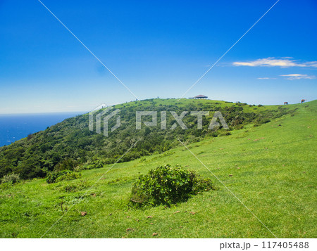 島根・隠岐の島(西ノ島町) 117405488