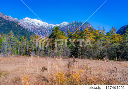 【秋素材】秋の上高地・田代湿原と田代池【長野県】 【秋素材】秋の上高地・田代湿原と田代池【長野県】 117405991