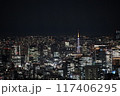 スカイツリーからの東京の夜景 117406295