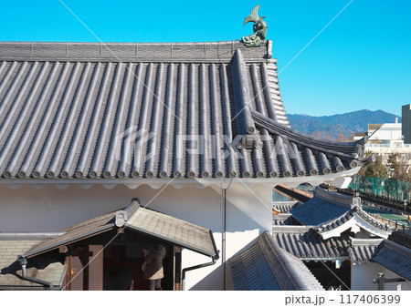 静岡県の駿府城 117406399