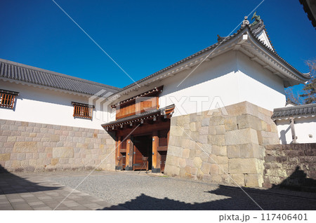 静岡県の駿府城 静岡県の駿府城 117406401