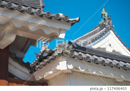 静岡県の駿府城 117406403