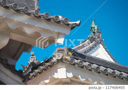 静岡県の駿府城 117406405