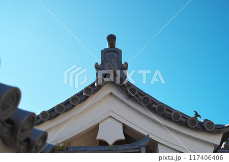 静岡県の駿府城 静岡県の駿府城 117406406