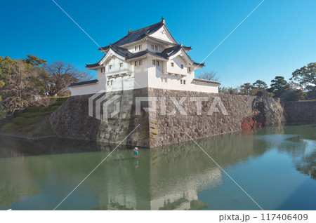静岡県の駿府城 117406409
