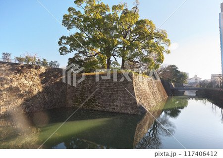 静岡県の駿府城 静岡県の駿府城 117406412