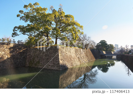 静岡県の駿府城 静岡県の駿府城 117406413