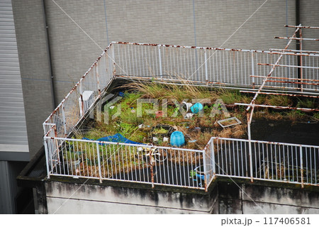 雑草が生い茂る屋上 雑草が生い茂る屋上 117406581