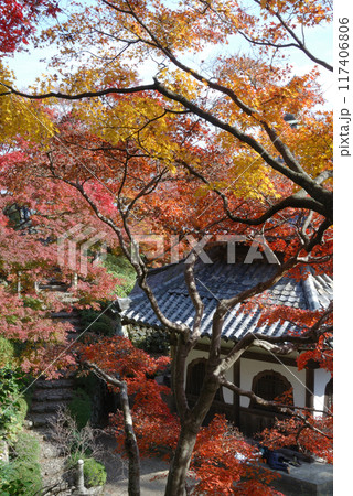 Autumn Kyoto, Japan / 紅葉に包まれたお寺,色づき始めた初秋の古都 京都の寺院 Autumn Kyoto, Japan / 紅葉に包まれたお寺,色づき始めた初秋の古都 京都の寺院 117406806