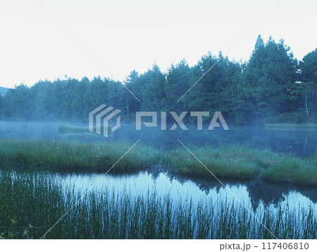 夏の志賀高原の朝 117406810