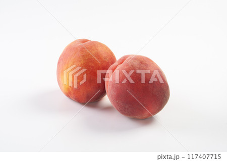 ワッサーの実 イメージ ワッサーの実 イメージ 117407715