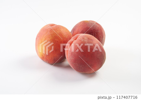 ワッサーの実 イメージ ワッサーの実 イメージ 117407716