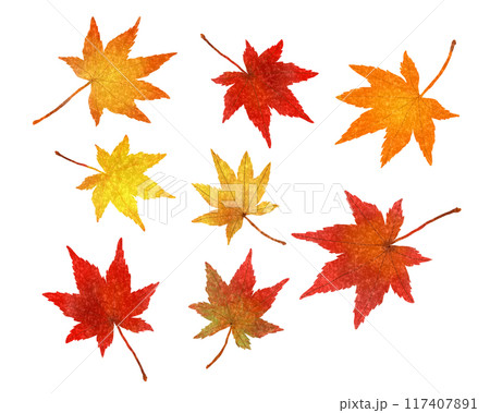 赤や黄色に色づいたもみじのイラスト 赤や黄色に色づいたもみじのイラスト 117407891