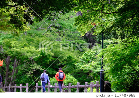 箕面公園の新緑 箕面公園の新緑 117407969