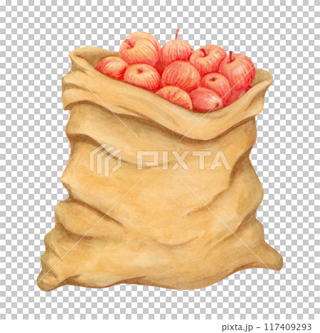 Isolated sack of apples. Watercolor freshly picked fruits in canvas bag. Harvesting concept.  Fruit in rustic burlap bag. Linen bagful with apples for designs in harvest, garden or countryside themes 117409293
