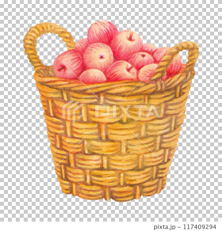 Large basket full of ripe red apples. Fresh fruit in wicker pannier with two handles. Farm organic food. Isolate Watercolor vintage illustration for rustic prints design, healthy food fair advertising Large basket full of ripe red apples. Fresh fruit in wicker pannier with two handles. Farm organic food. Isolate Watercolor vintage illustration for rustic prints design, healthy food fair advertising 117409294
