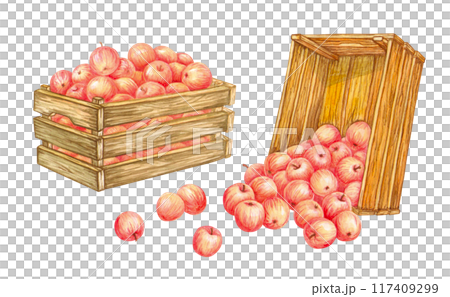 Wooden crates with red apples. Fruits crop falls out of overturned old box. Harvest. Farm products. Isolated watercolor fresh harvest for designs in farm, garden or countryside themes. Farmers market 117409299