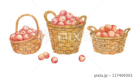 Set of isolated watercolor baskets filled with ripe red apples. Hand drawn wicker panniers with handles full of fresh fruits crop. Harvesting time. Farm organic food. Watercolor vintage illustration 117409301