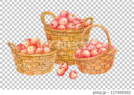 Isolated composition of baskets full of red apples with few scattered fruits in foreground. Hand drawn wicker panniers with crop. Watercolor vintage illustration from APPLE HARVEST collection 117409302