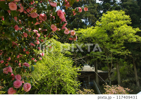 金剛山転法輪寺　【大阪府南河内郡千早赤阪村・奈良県御所市】 117409431