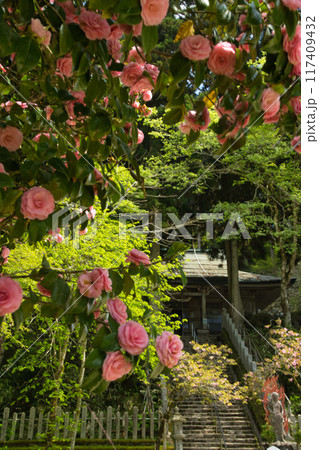 金剛山転法輪寺　【大阪府南河内郡千早赤阪村・奈良県御所市】 117409432