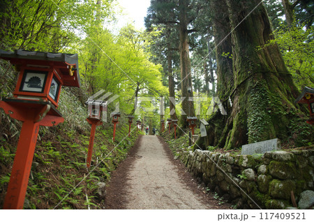 金剛山葛木神社参道(夫婦杉)　【大阪府南河内郡千早赤阪村】 117409521