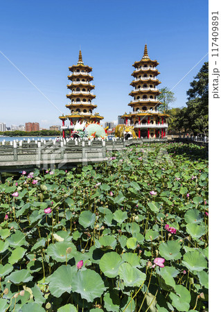 View of the lotus in bloom at the Dragon and Tiger Pagoda in Lotus Pond, Kaohsiung, Taiwan. 117409891