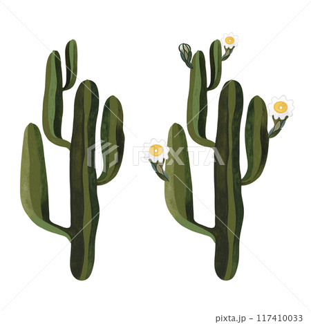 Saguaro. Blooming cactus with white and yellow flowers. Plants for the home. Floriculture. Desert flora. Isolated watercolor illustration on white background. Clipart. Saguaro. Blooming cactus with white and yellow flowers. Plants for the home. Floriculture. Desert flora. Isolated watercolor illustration on white background. Clipart. 117410033