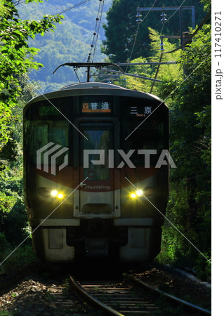 自然豊かな中を走る列車 117410271