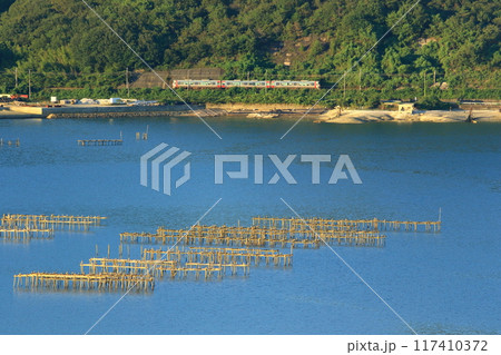 長閑な瀬戸内風景の中を走るローカル線 117410372