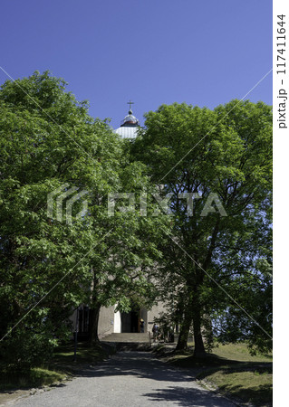 森に囲まれた北欧の教会 森に囲まれた北欧の教会 117411644