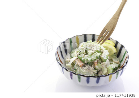 ゴーヤとツナのサラダ 117411939