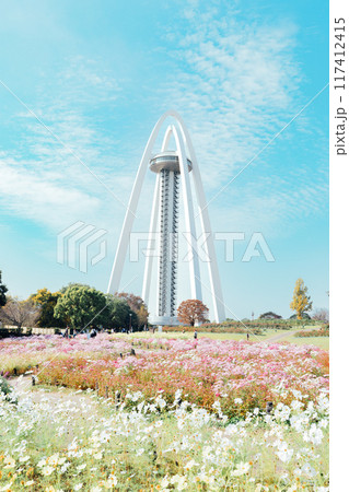 138タワーとコスモス畑 117412415