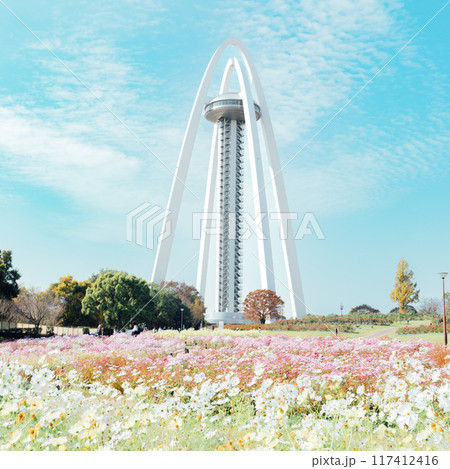 138タワーとコスモス畑 117412416