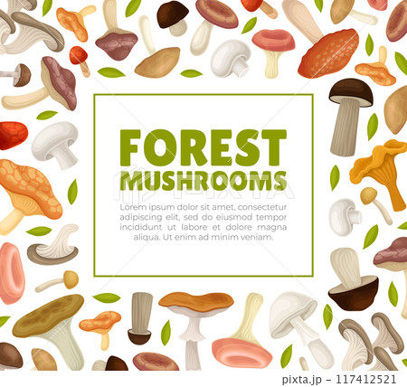 Mushroom Banner Design with Forest Plant with Stem and Cap Vector Template 117412521