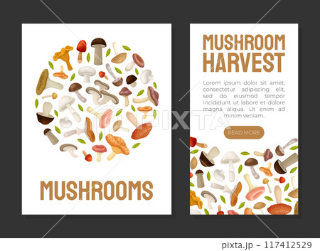 Mushroom Banner Design with Forest Plant with Stem and Cap Vector Template 117412529