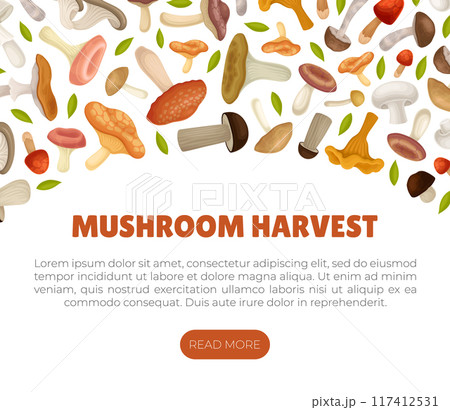 Mushroom Banner Design with Forest Plant with Stem and Cap Vector Template 117412531