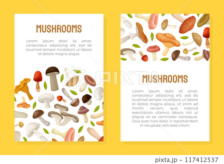 Mushroom Banner Design with Forest Plant with Stem and Cap Vector Template 117412537